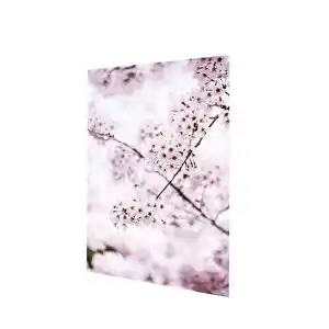 Dekoratif Mutfak Çiçekleri ile Mutfaklarınıza Canlılık ve Şıklık Katın