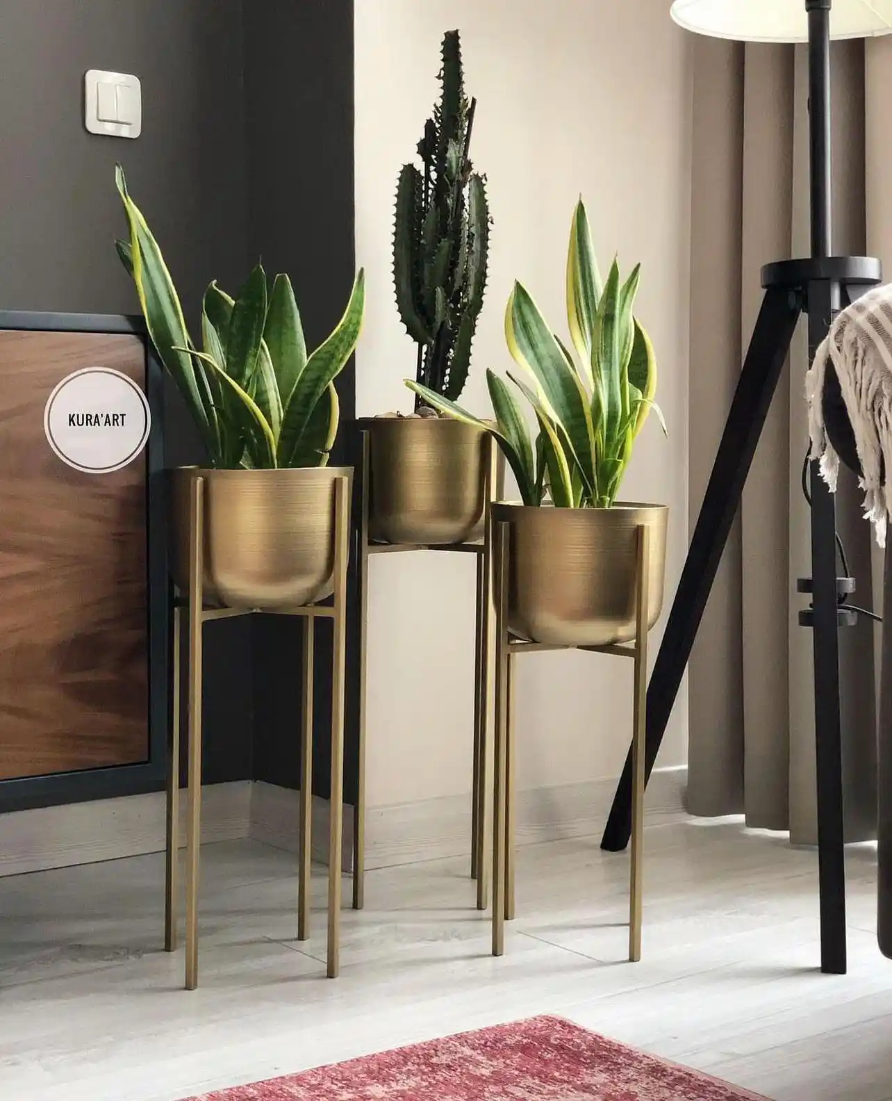 Dekoratif Saksı Seçenekleriyle Evinize Zarif ve Canlı Dokunuşlar Yapın