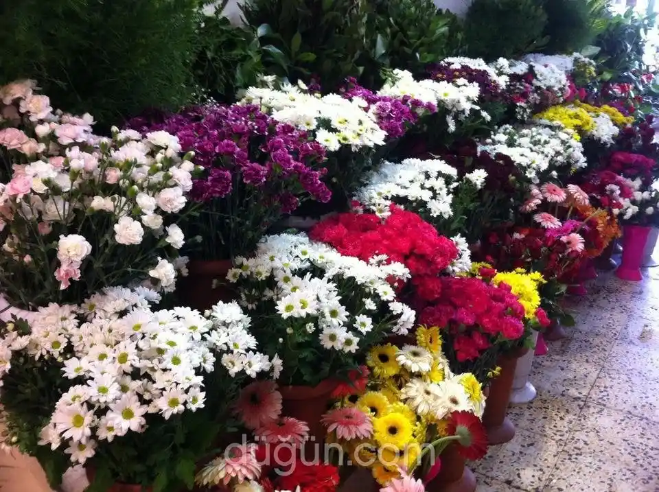 Demet Çiçeklerin Dekorasyondaki Yeri ve Modern Kullanım İpuçları