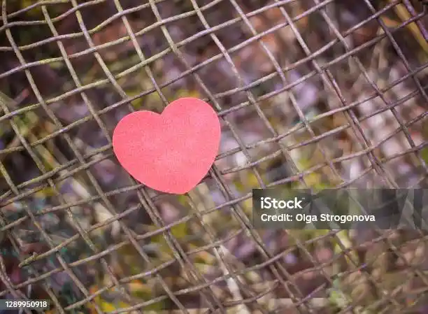 Demir Eleğin Dekorasyondaki Yeri ve Farklı Kullanım Alanları