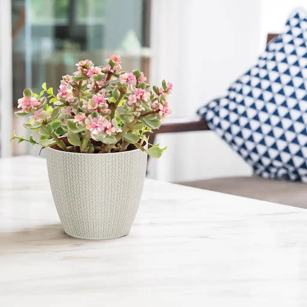 Desenli Saksılar ile Mekân Dekorasyonunu Zenginleştirme Rehberi