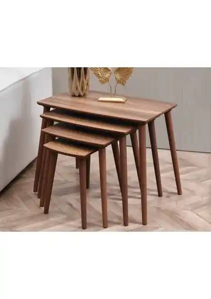 Dest Mobilya 4'lü Rüya MDF Zigon Sehpa Seti Modern ve Dayanıklı Ev Dekorasyonu İçin