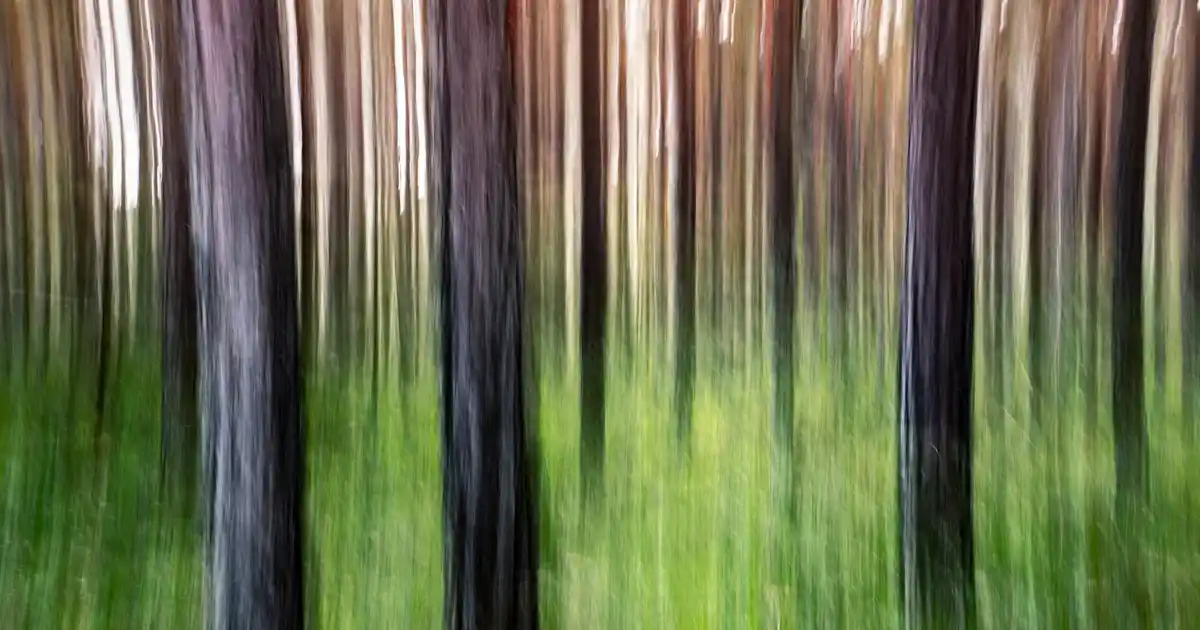 Diamond Porselen ile Dekorasyonda Lüks ve Estetiğin Modern Yüzü