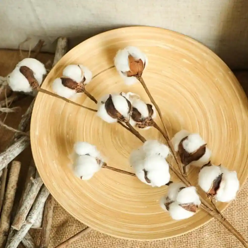 Doğal Pamuk Dalları ile Şık ve Sürdürülebilir Dekorasyon Çözümleri