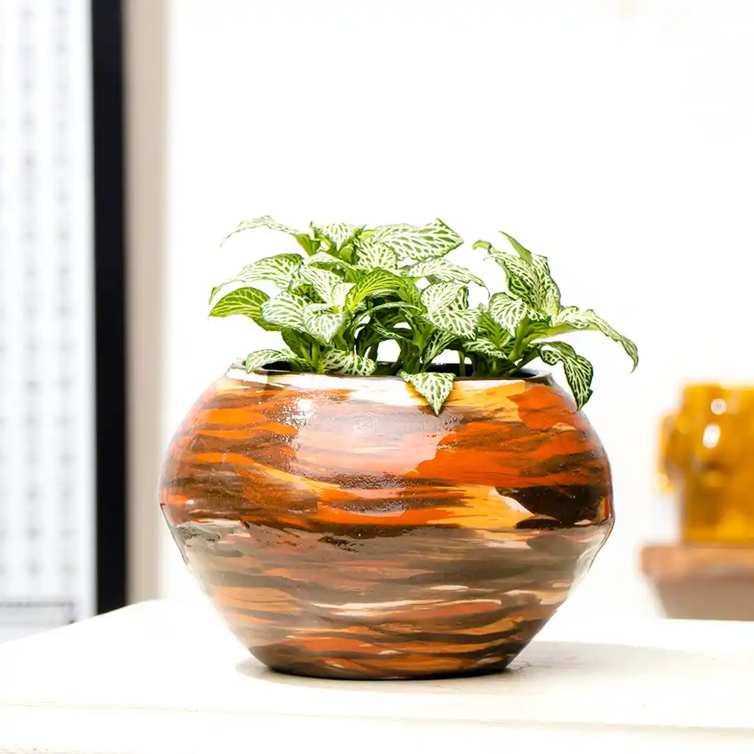 El Yapımı Seramik Vazolar ile Mekanlara Sanatsal ve Sıcak Dokunuşlar Yapın