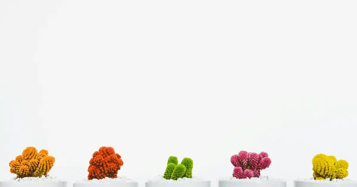 Elektrikli Tan<dı>rın Dekorasyonda Kullanımı ve Modern Tasarımla Entegrasyonu