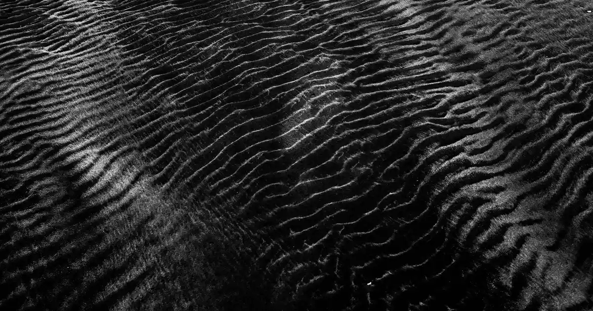 Elsa Asası ile Modern ve Masalsı Dekorasyon Fikirleri ve Kullanım İpuçları