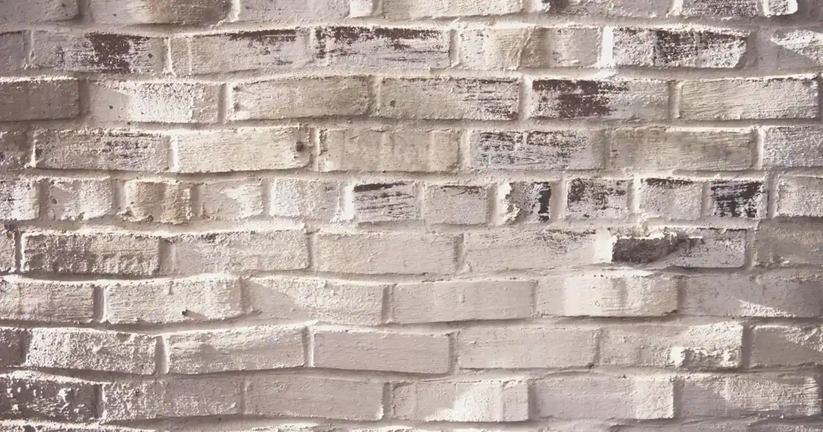 Emsan İnci Kahve Fincanı ile Dekorasyonunuza Zarif ve Şık Dokunuşlar Katın