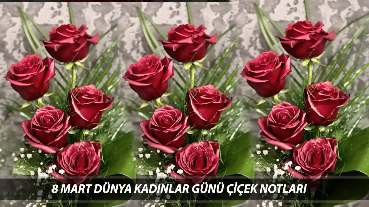 En Anlamlı Çiçekler ve Dekorasyonda Kullanım Sırları