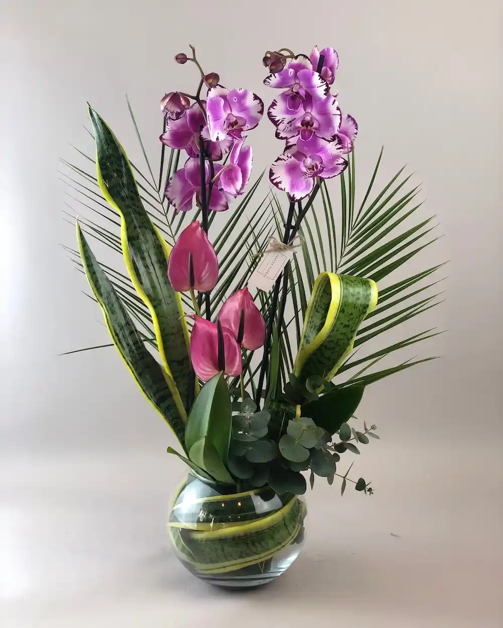 En Güzel Orkide Çeşitleri ve Dekorasyonda Zarif Kullanım Yöntemleri