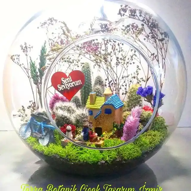 Eşe Teraryum Nedir ve Dekorasyonda Kullanım Avantajları Nelerdir