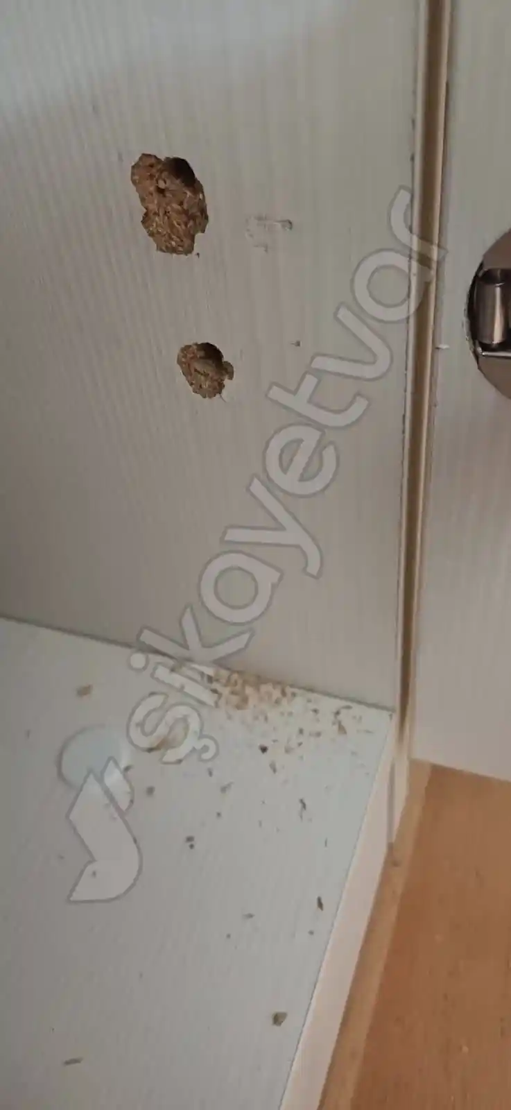 Etimesgut'ta Mobilya ve Dekorasyon Seçiminde Dikkat Edilmesi Gerekenler