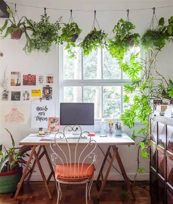 Ev Dekorasyonunda Çiçek Kullanımı: Doğanın Renkli Dokunuşlarıyla Fark Yaratın