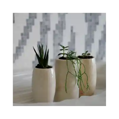 Ev Dekorasyonunda Dekoratif Ürünlerle Şıklık ve Tarz Yaratma Rehberi