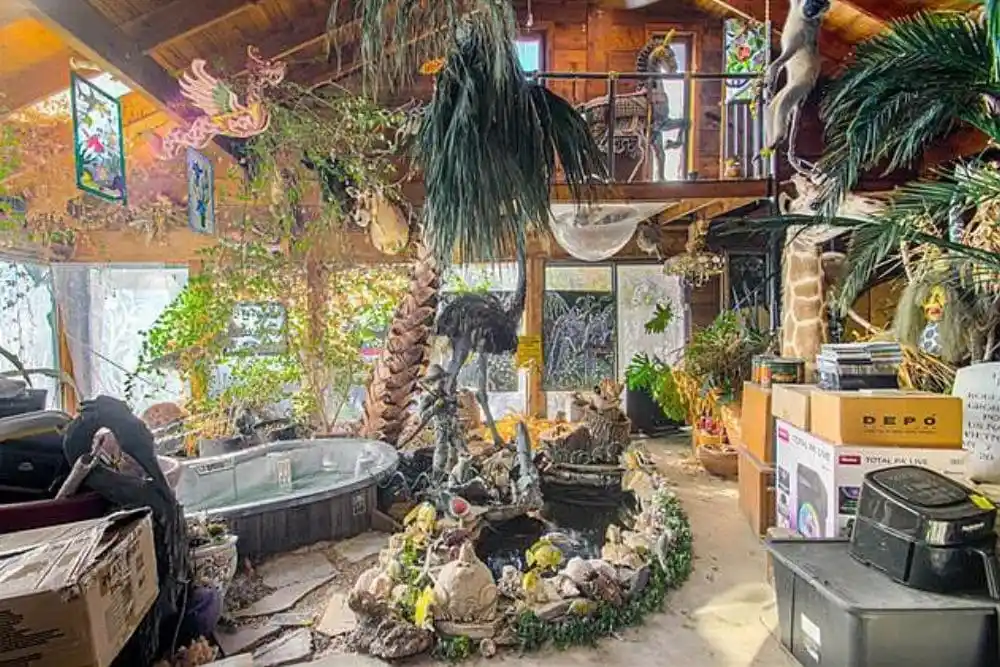 Ev Dekorasyonunda Doğal ve Vahşi Temalar: Home Wild Yaklaşımı ve Uygulama İpuçları