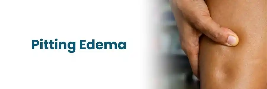 Ev Döşeme Türleri ve Seçim Rehberi: Modern ve Dayanıklı Zemin Kaplamaları