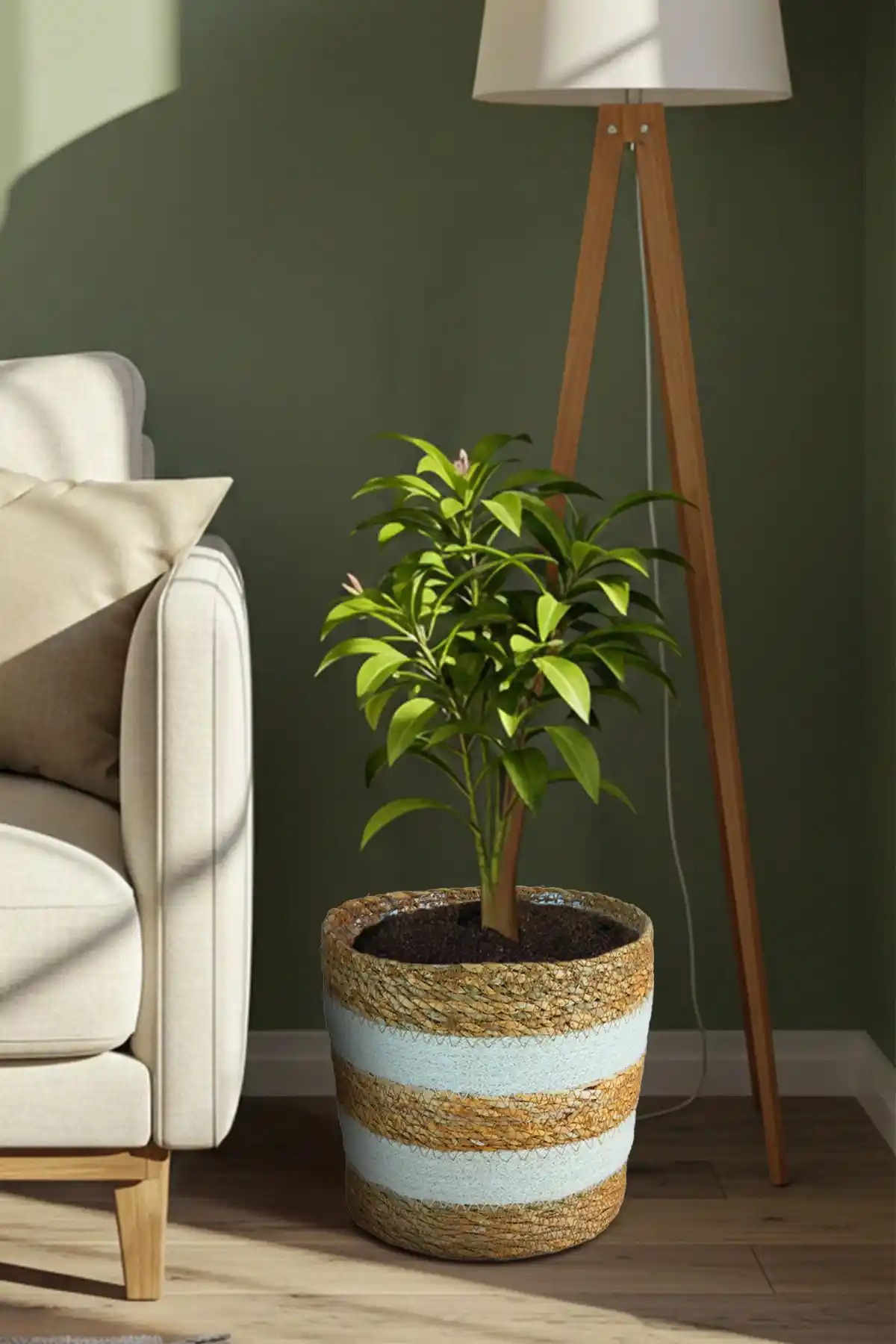 Ev İçin Saksı Seçimi ve Dekorasyonda Yaratıcı Dokunuşlar Rehberi