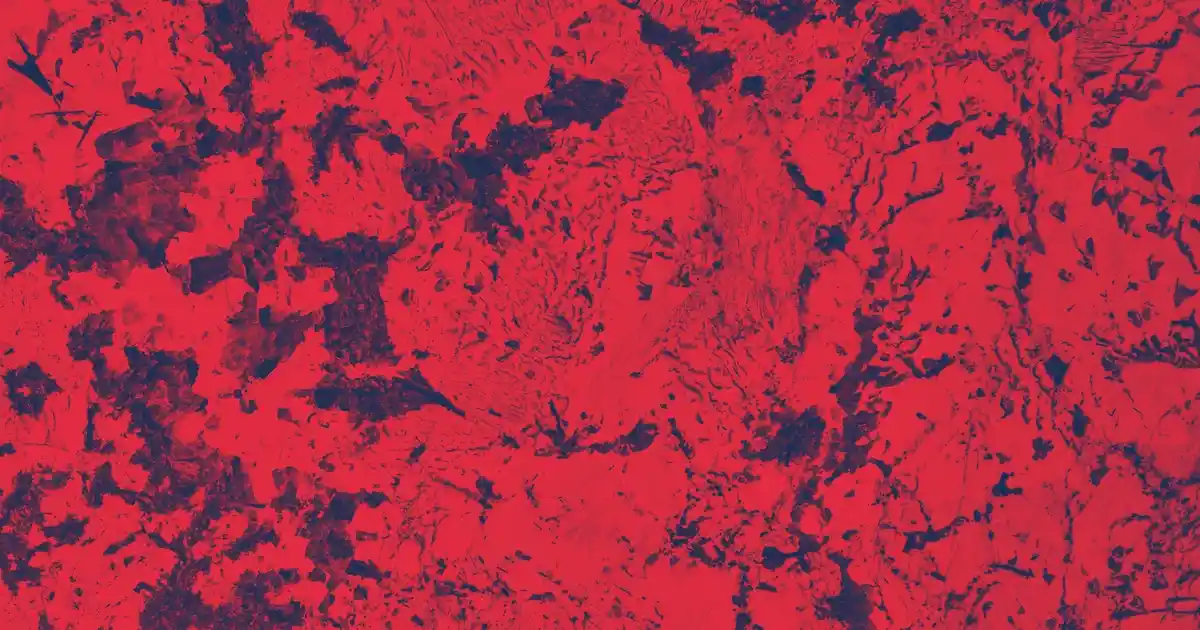 EVA Kadın Terlikleri ve Dekorasyonda Kullanım Alanları Analizi