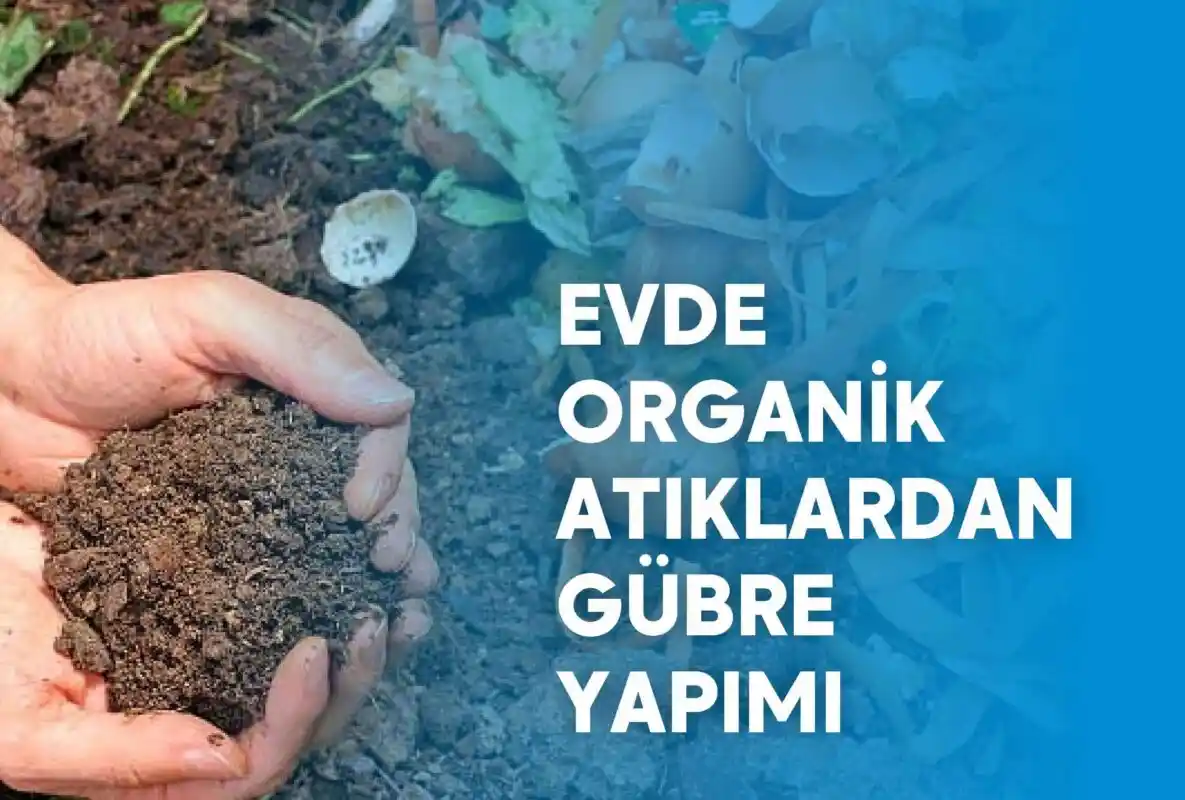 Evde Doğal Gübre Yapımı ve Bitki Bakımı İçin Pratik Yöntemler