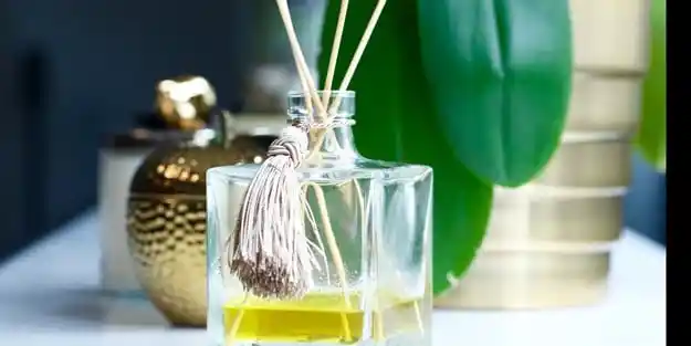 Evde Kalıcı Güzel Koku Yaratmanın Sırları Dekorasyonla Uyumlu ve Doğal Yöntemler