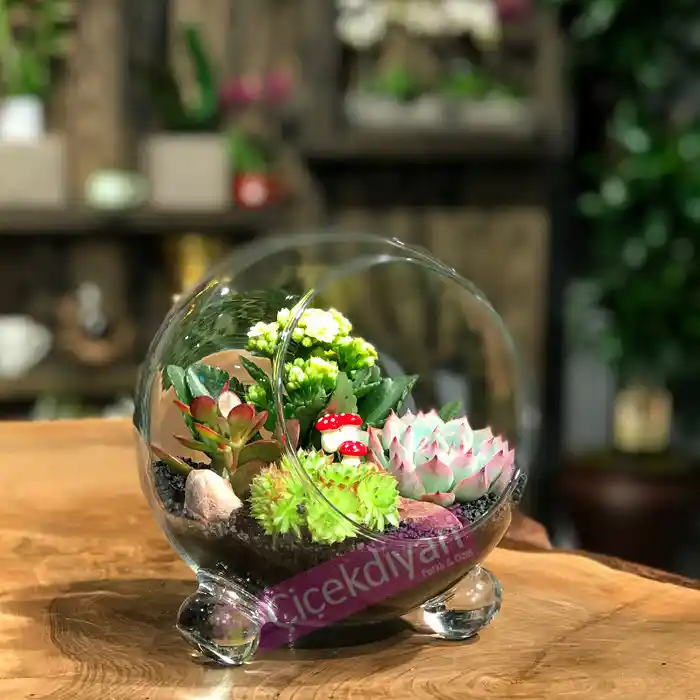 Fanus Çiçeklerle Ev Dekorasyonunu Modern ve Şık Hale Getirin