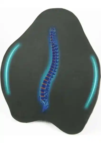 Figiza Visco-Elastik Anatomik Bel Yastığı ile Sırt ve Bel Sağlığını Koruyun