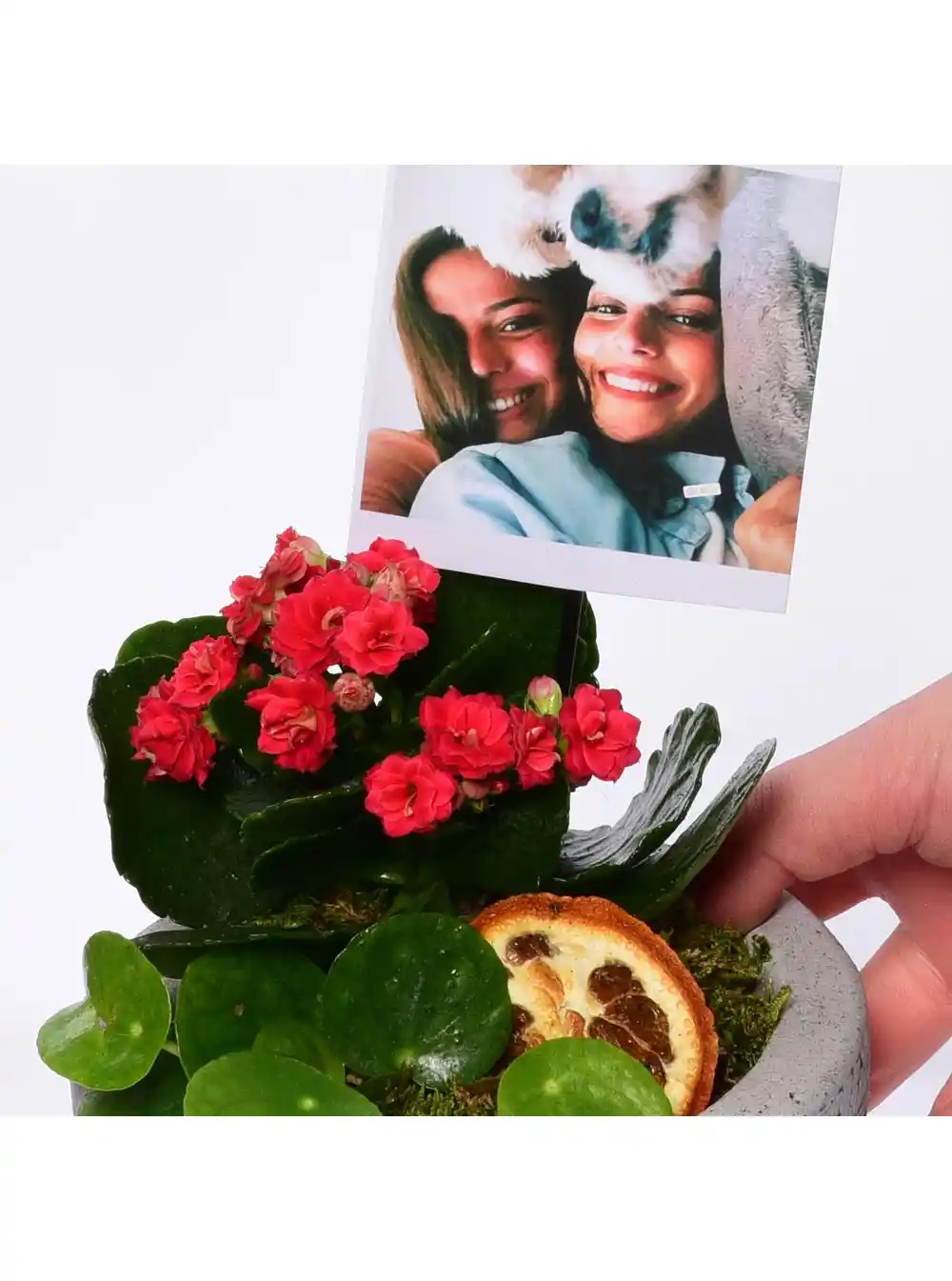 Fotoğraflı Çiçeklerle Dekorasyon: Doğanın ve Anıların Büyüleyici Buluşması
