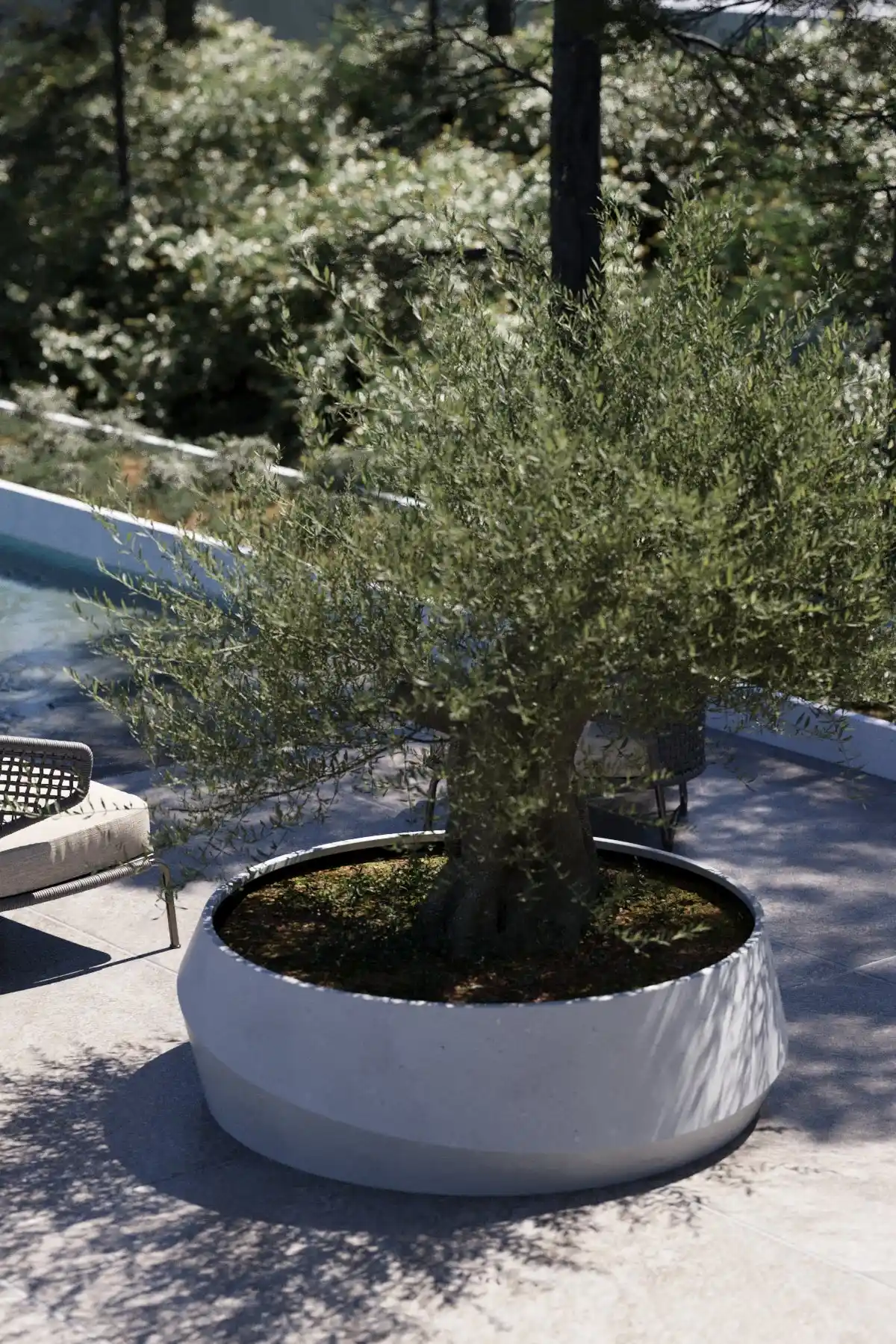 Geniş Saksı Kullanımıyla Dekorasyonunuzu Yenileyin ve Mekânınıza Şıklık Katın