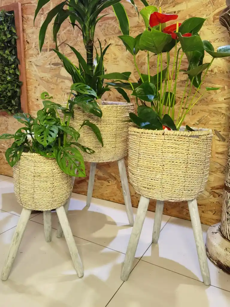 Hasır Saksı Modelleri ile Doğal ve Şık Dekorasyonlar Yaratmanın Yolları