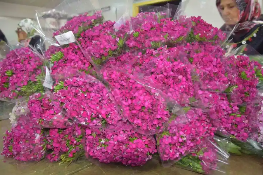 Hazır Çiçeklerle Dekorasyonunuzu Güncel ve Estetik Hale Getirin