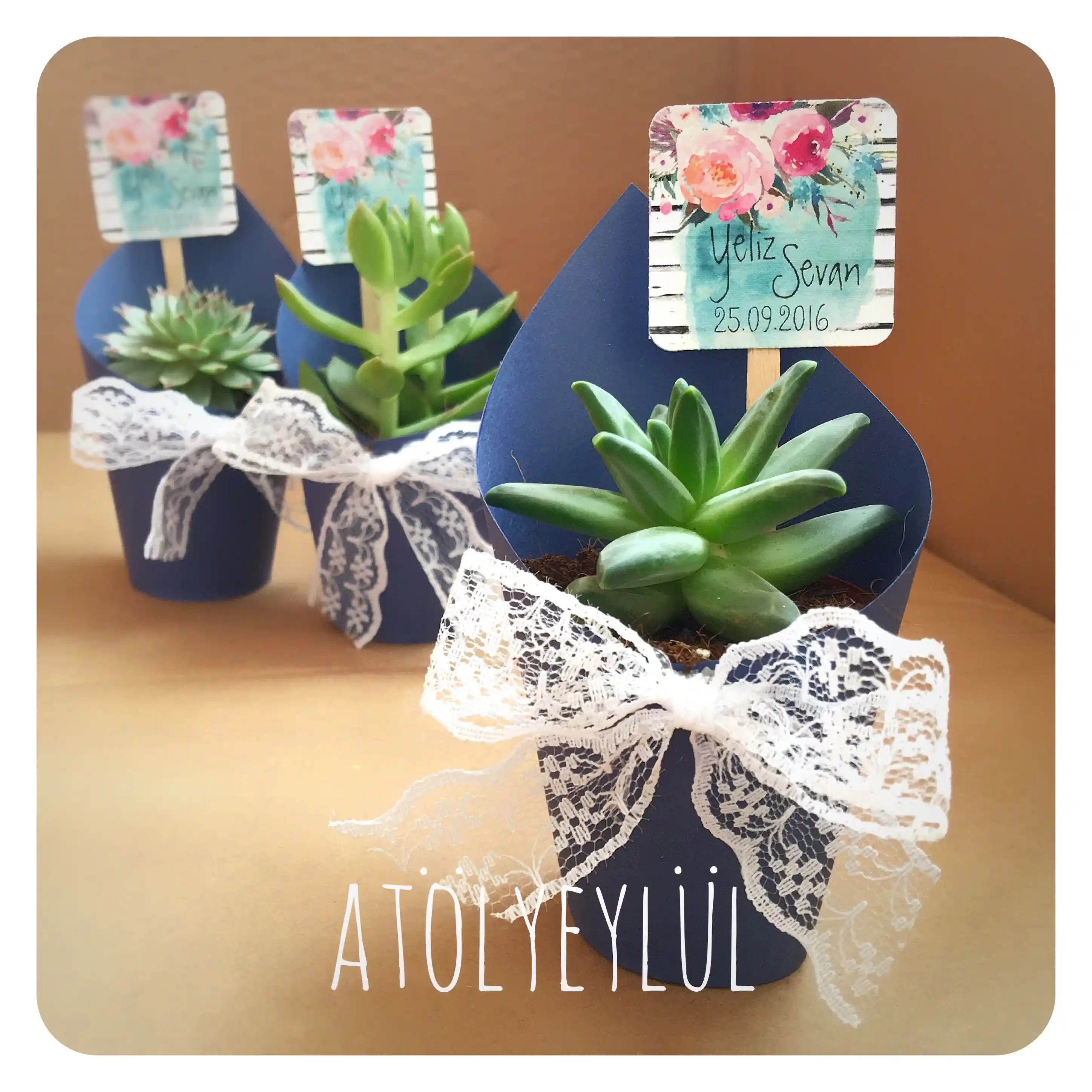 Hediye Kaktüs ile Dekorasyonda Doğallık ve Şıklığın Mükemmel Buluşması