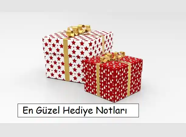 Hediyenin Dekorasyondaki Yeri ve Önemi: Estetik ve Anlamlı Seçenekler