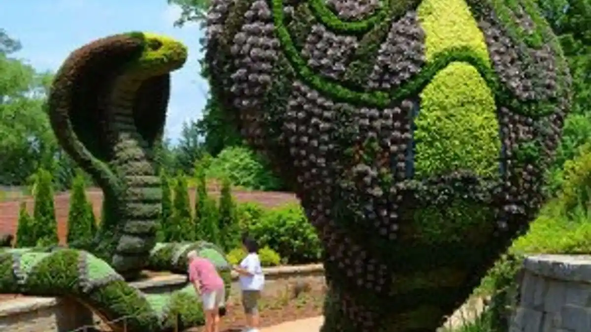 İç Mekân Dekorasyonunda En Güzel Bitki Seçenekleri ve Dekorasyona Katkıları