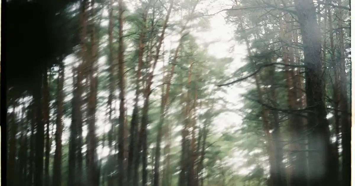 İkili Koltuk Seçimleri ve Dekorasyonda Kullanım İpuçları 2023