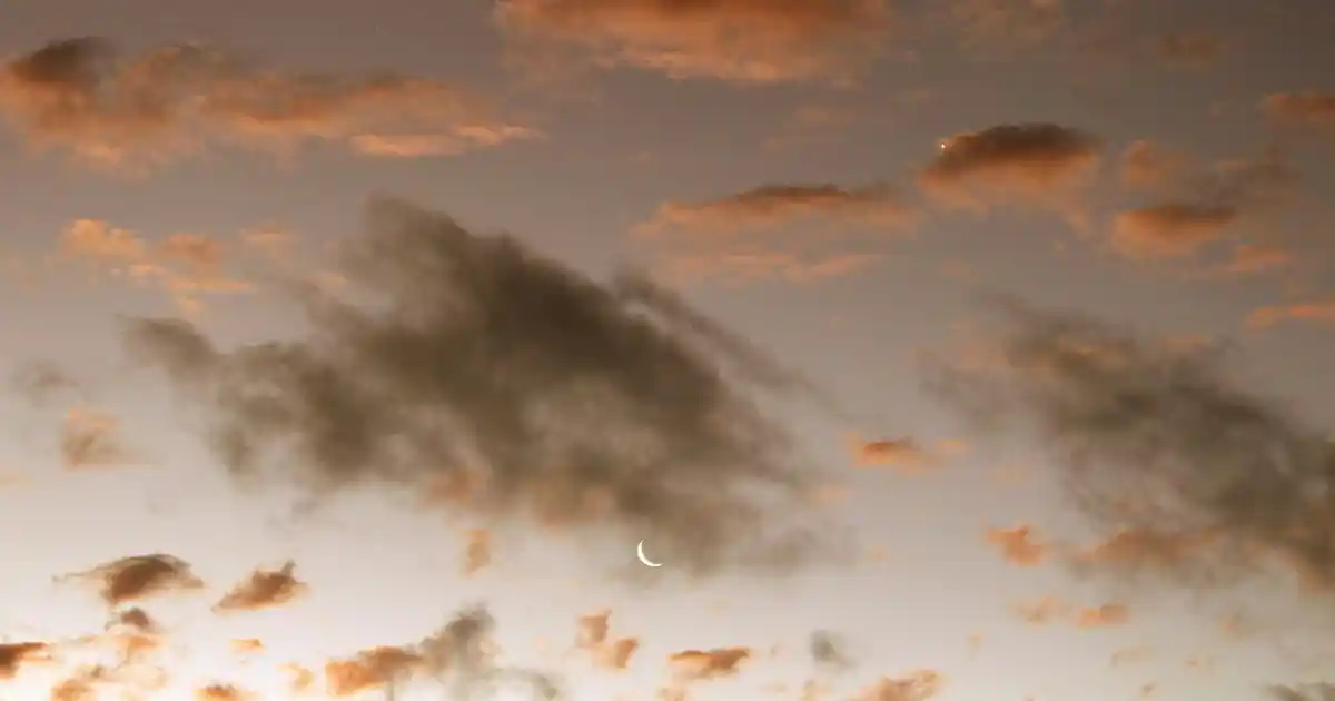 İngiliz Evlerine Uygun Fincan Takımlarıyla Dekorasyonunuzu Zenginleştirin