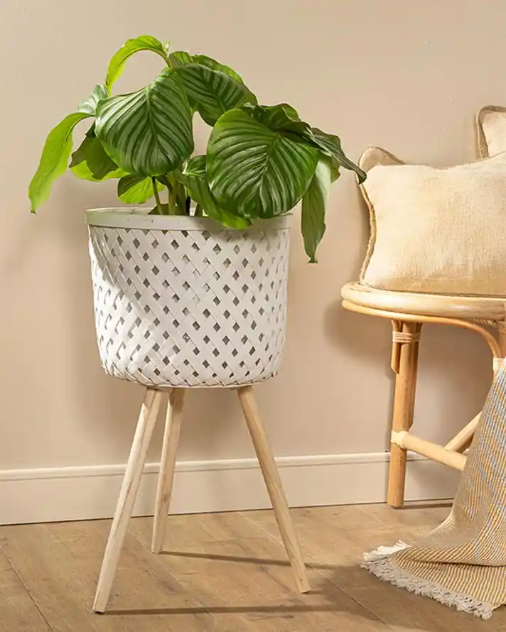 İngiliz Tarzı Ev Dekorasyonunda Ayaklı Saksı Kullanımının Modern ve Şık Yönleri