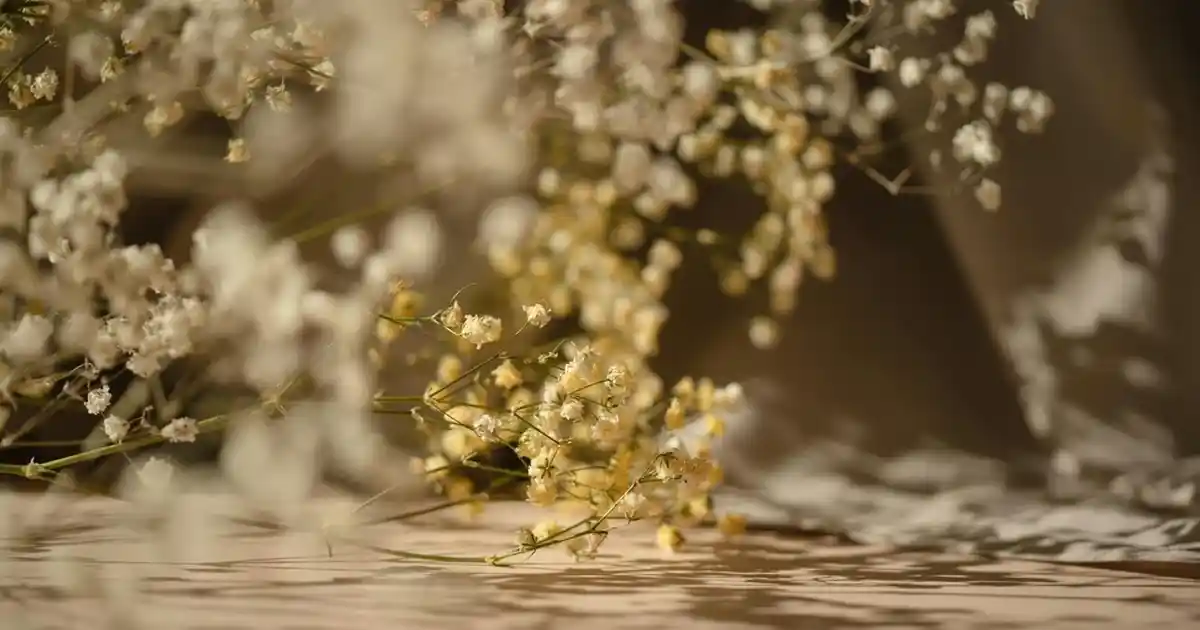 İrem Çay Tabağı ile Ev Dekorasyonunda Şıklık ve İşlevsellik Yaratma Rehberi