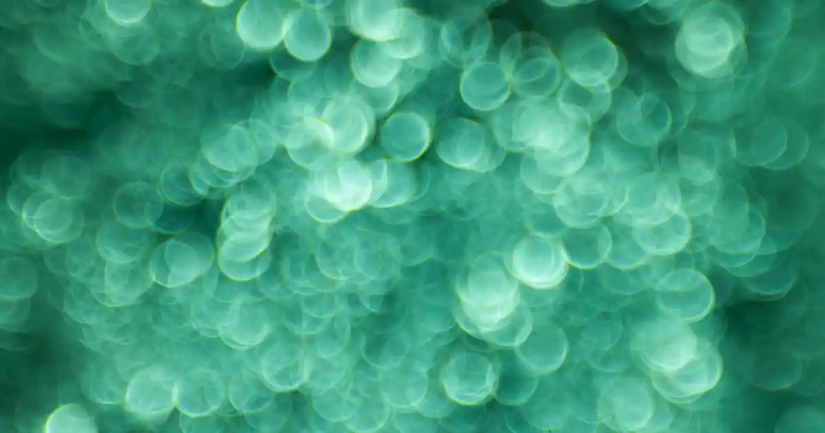 İsimli Cam Bardak Dekorasyonunda Yenilikçi ve Şık Dokunuşlar ile Kişisel Atmosferler