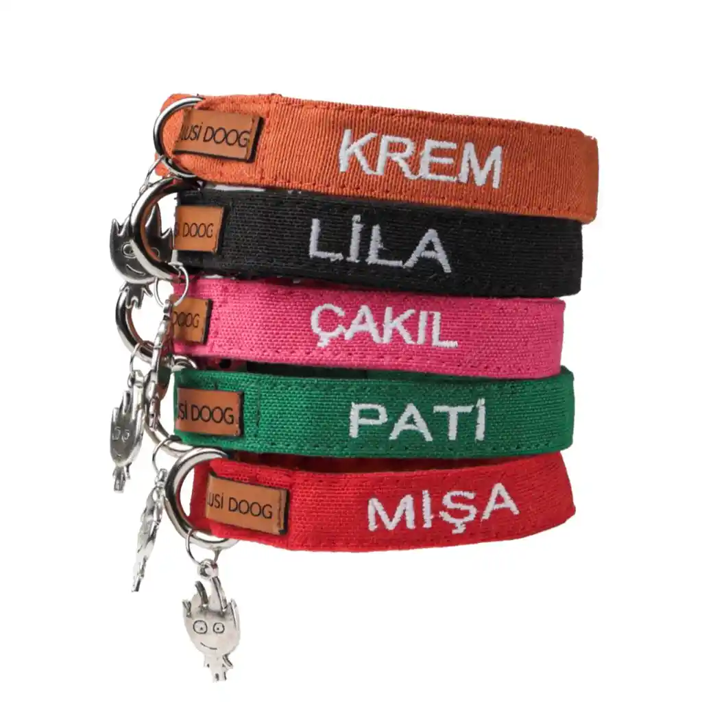 İsimli Kedi Tasması Seçerken Dikkat Edilmesi Gerekenler ve Modeller