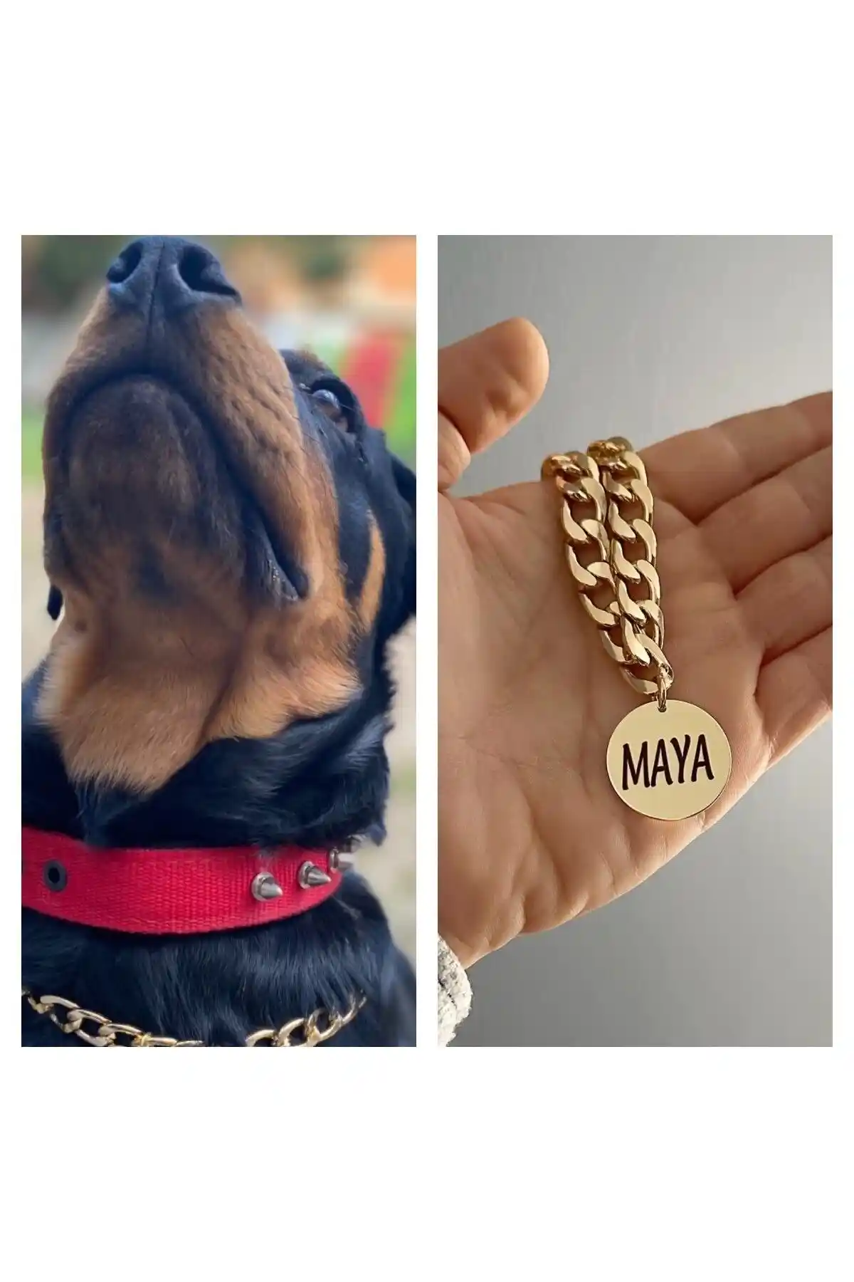 İsimli Köpek Tasması Dekorasyon ve Güvenliğin Şık Buluşması