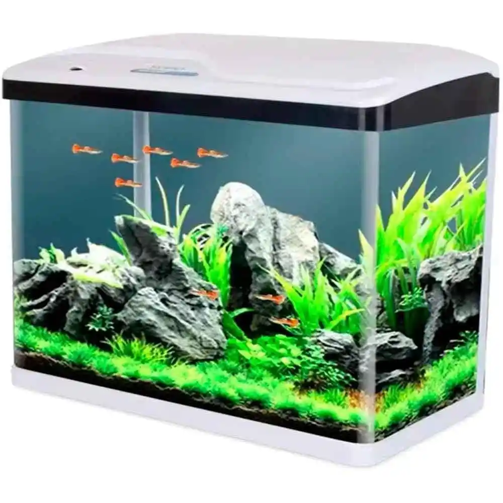 İthal Akvaryumlar: Modern ve Şık Dekorasyon Çözümleri ile Estetik Akvaryum Seçenekleri