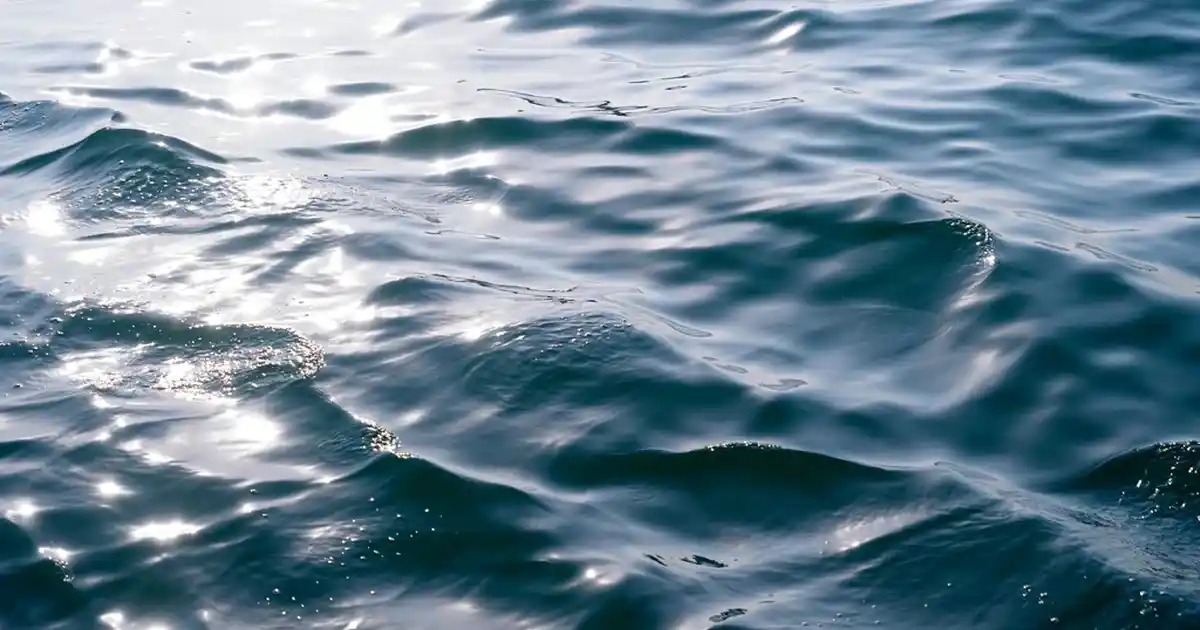 Kahverengi Avize ile Dekorasyonda Sıcak ve Şık Atmosferler Yaratın