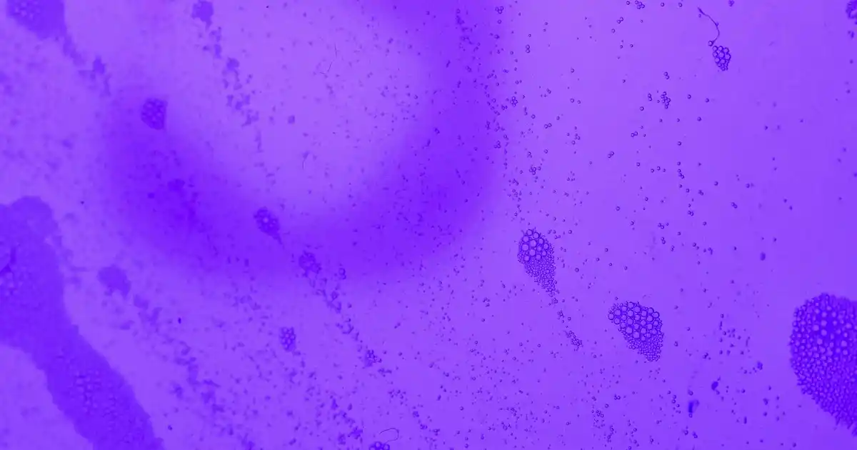 Karaca Gülhane Fincan ile Dekorasyonda Zarafet ve Şıklığın Buluşması