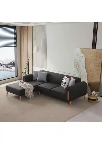 Leon Solköşe Antrasit Modern ve Dayanıklı Oturma Takımı 250 cm Genişlikte