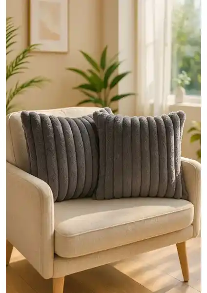 Lunova Home 2 Adet 45x45 Antrasit Peluş Çift Taraflı Modern Yıkanabilir Kırlent Kılıfı
