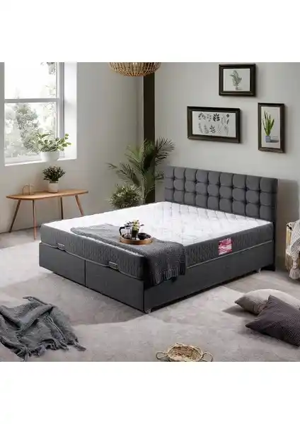 Setay Venedik Çift Kişilik Baza Başlık Letto Yatak Seti Antrasit Modern Tasarım ve Konfor