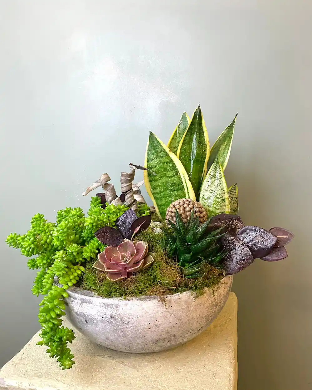 Sukulent Aranjmanlarıyla Dekorasyonunuzu Doğal ve Şık Hale Getirin