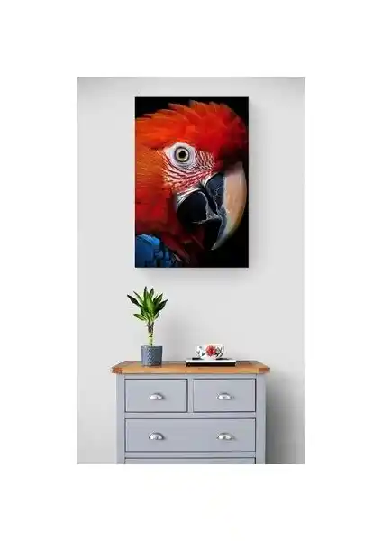Vitraycım Renkli Papağan Dekoratif Cam Tablo Ev ve Ofis İçin Şık Dekorasyon Seçeneği