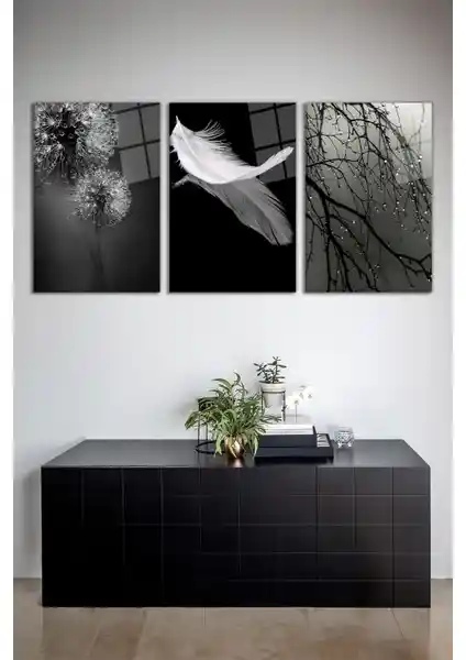 Vosevu Siyah Beyaz Temalı Tüy Kombin 3'lü Cam Tablo Seti Modern ve Şık Dekorasyon İçin Uygun