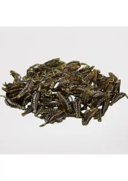 Balık Avcıları İçin Ardeppo ve Fujin Baby Worm Silikon Yem Karşılaştırması